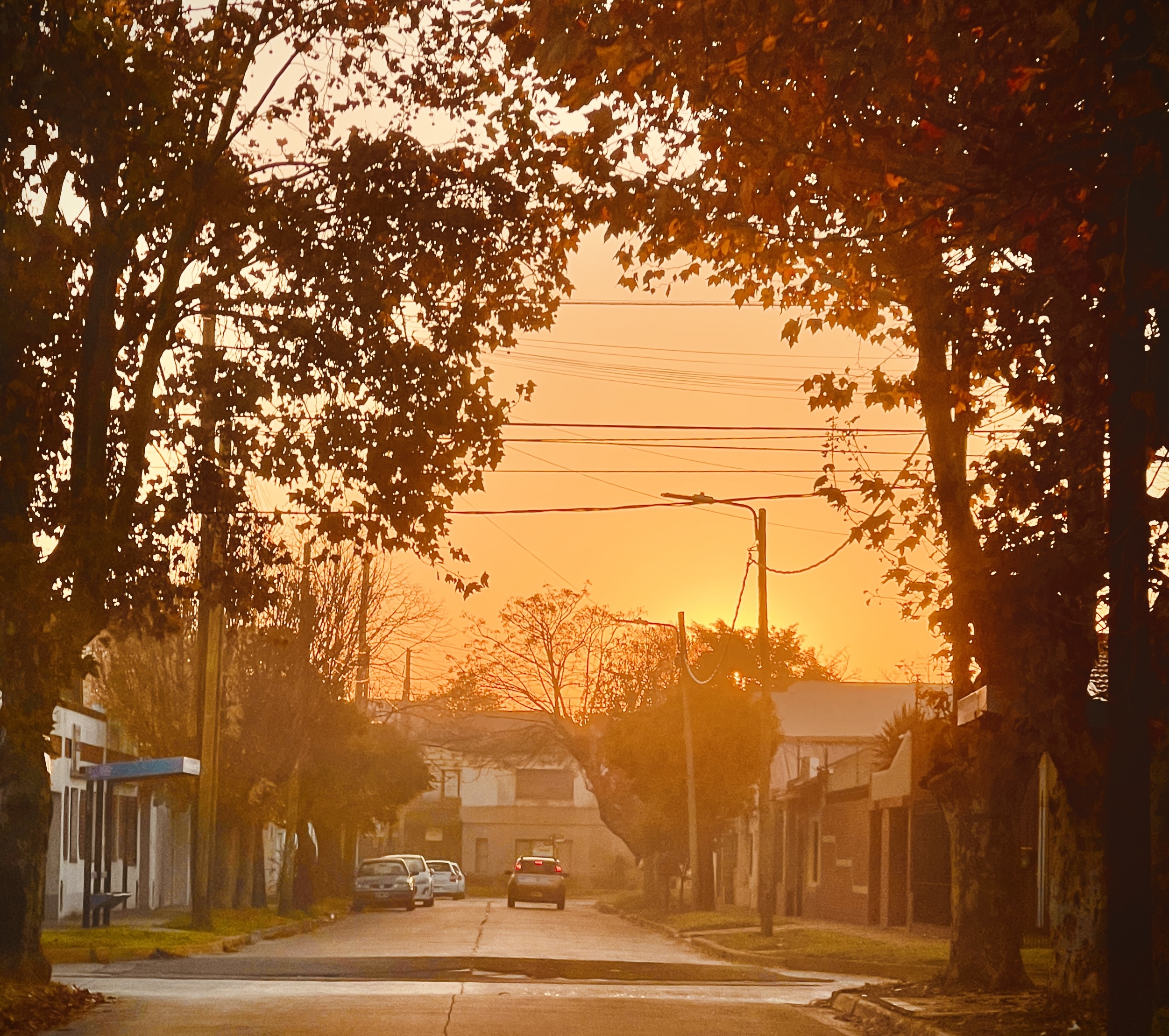 Turdera, Buenos Aires province, Argentina. Photo by: Gustavo Adrián Salvini